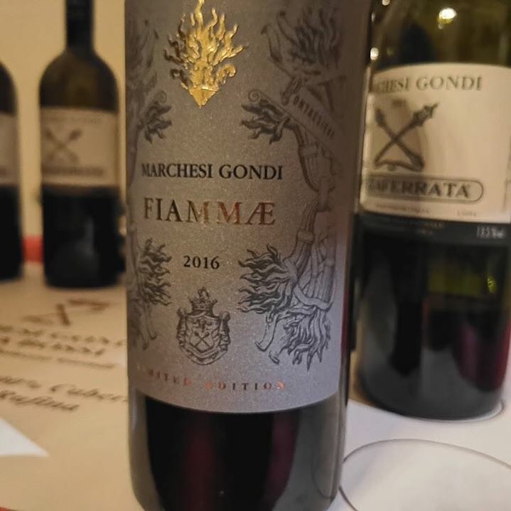 52141204_1992755004155652_20713145504890880_n